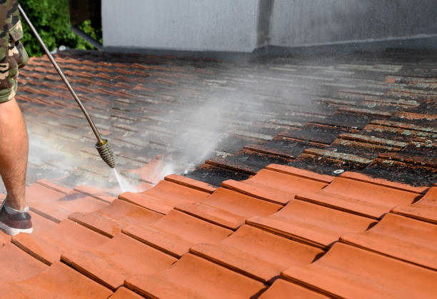 Best Pressure Washing Services Near Me  in Webberville, MI