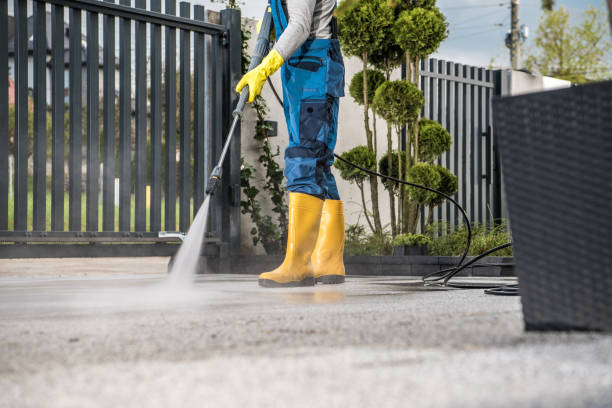 Best Pressure Washing Company Near Me  in Webberville, MI