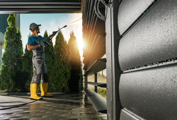 Best Deck Cleaning Services  in Webberville, MI