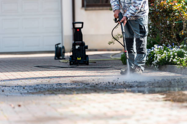 Best Best Pressure Washing Companies  in Webberville, MI
