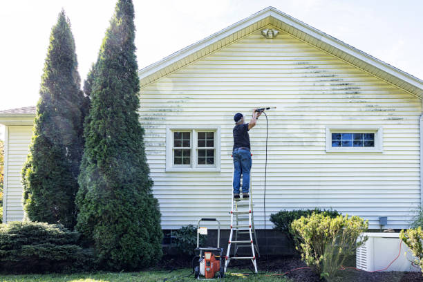Best Commercial Pressure Washing  in Webberville, MI