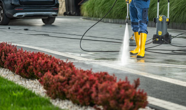 Best Deck Pressure Washing  in Webberville, MI