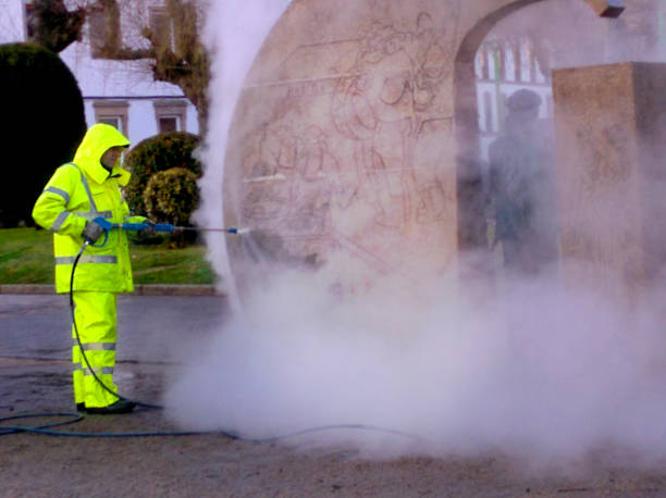 Best Pressure Washing Near Me  in Webberville, MI